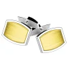 Gemelli Zancan in argento e oro 18k.